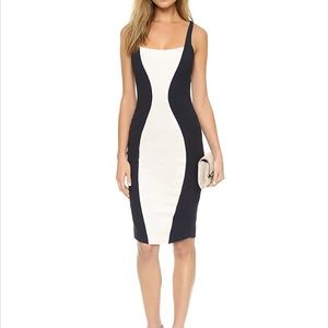 RARE ✨ Elizabeth and james dress